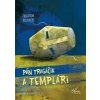 Pán Tragáčik a templári - Nienacki Zbigniew
