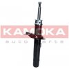 KAM-2001051