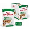Royal Canin Mini Ageing 12 x 85 g