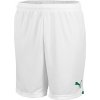 Puma Vienna shorts home 2022/2023 kids 766616-002