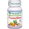 Rumogin 5 kapsule Planet Ayurveda 60 ks Obsah: 60 kapsúl