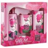 Rose of Bulgaria sprchový gel s růžovou vodou 100 ml + toaletní mýdlo s růží 50 g + pleťový denní krém s růžovou vodou 30 ml,
