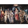 Art Botticelli: La primavera 2000 dielov