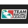 Team Racing League Steam CD Key