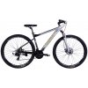 Bicycle AL 29