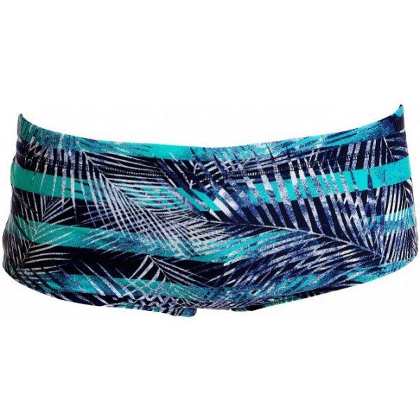 Funky Trunks Palm Pilot Sidewinder Trunks Boys od 31,67 € - Heureka.sk