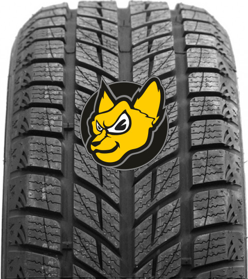 Altenzo WINTER Tire SPORTS TEMPEST V 205//50R17 93H