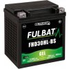 Batéria 12V, FHD30HL-BS GEL (Harley.D), 30Ah, 430A, bez údržbová GEL technológia 165x125x175 FULBAT (aktivovaná vo výrobe) M310-235