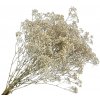 Stabilizovaná Gypsophila - Nevestin závoj 80g - nefarbený biely