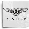 Sablio Obraz Bentley na bielej - 50x50 cm