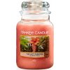 Yankee Candle Large Jar The Last Paradise 623g