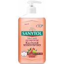 Sanytol dezinfekčné mydlo do kuchyne grapefruit & svieži citrón 250 ml