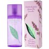 Elizabeth Arden Green Tea Lavender toaletná voda dámska 100 ml