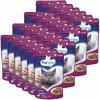 PreVital Cat s teľacinou v omáčke 24 x 100 g
