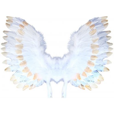 RAPPA Anjelské krídla s perím bielo-zlatá