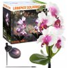 Interlook FLD-23-WP | Orchidea záhradné solárne LED svietidlo | 75 cm, 600 mAh