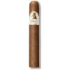 Davidoff WINSTON CHURCHILL PETIT PANATELA 1 ks