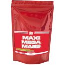 Gainer ATP Maxi Mega Mass 3000 g