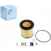 BLUE PRINT OLEJOVÝ FILTER 10ECO062 1457429269 0986AF1