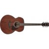 Ibanez AJ54E-OPN