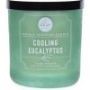 DW Home Cooling Eucalyptus 255 g