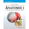 Anatomie 1 (Radomír Čihák)