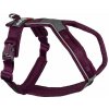 Nonstop dogwear Postroj Line 5.0 Farba: Fialová, Veľkosť: 5