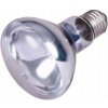 TRIXIE NEODYMOVÁ VYKUROVACIA ŽIAROVKA 100 W TX-76008