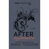 After - Tajomstvo - Anna Toddová