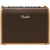 Fender Acoustic 100