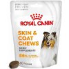 Royal Canin Adult Dog Supplements Skin & Coat Chews 240 g