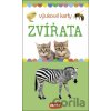 Zvířata výukové karty