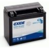 Exide AGM12-19