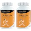 Sportwave Tribulus+ 120 kapsúl