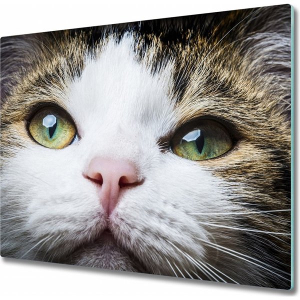Tulup Sklenená doska na krájanie Zelená mačka má oči 60x52 cm od 21 € -  Heureka.sk