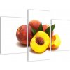 Broskyne - obraz (Obraz 90x60cm)