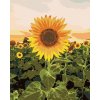 Maľovanie podľa čísel Úžasná slnečnica, 80x100 cm, bez rámu a bez vypnutia plátna (6058162)