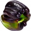 Paprika Zulu - Capsicum annuum - semená papriky - 10 ks