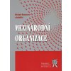 Mezinárodní organizace - Michael Romancov