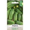 Semená Uhorky Nakladačky Cezar na Pestovanie v Pôde 4g