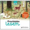 Procházka lesem