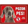 Juko Plastová tabuľa Pozor Pes Weimarský stavač 21 x 14,7 cm