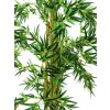 Bambus multi kmen 210 cm