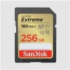 SanDisk SDXC Class 10 512 GB SDSDXVV-512G-GNCIN