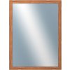 DANTIK - Zrkadlo v rámu, rozmer s rámom 60x80 cm z lišty LYON hnedá (2750)