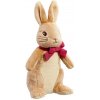 Rainbow Designs Limited Rainbow Plyšový zajačik Flopsy s mašľou malý