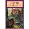 Hrdina ve stínu - David Gemmell