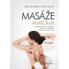 Masáže - anatómia