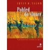 Pohled do slunce - Yalom Irvin D.