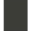 Inebrya Color ASH Intense 7/11 Blonde Intense 100 ml